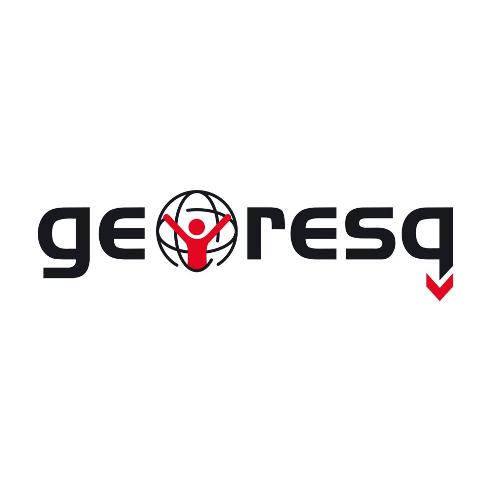 logo georesq_S